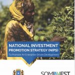 A robust National Investment Promotion Strategy