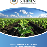 CLIMATE SMART AGRICULTURE VALUE CHAIN ASSESSMENT- GREENHOUSE IN SOMALIA