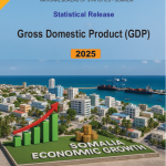 Somalia Gross Domestic Product  Report
